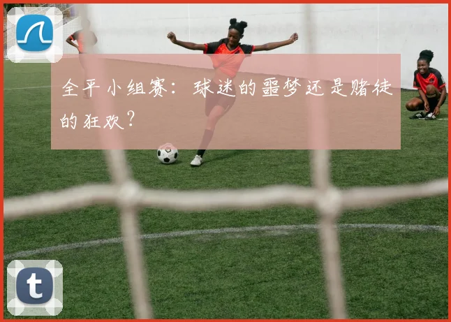 全平小组赛：球迷的噩梦还是赌徒的狂欢？